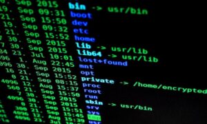 linux-command-line-ls-output_1000x600